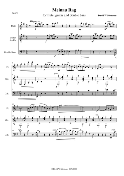 Meinau Rag for flute, double bass and guitar image number null