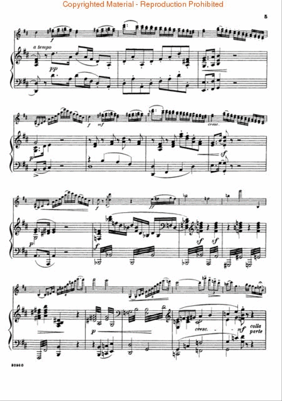 Violin Concerto No. 1 In D Major (First Movement) - Violin/Piano