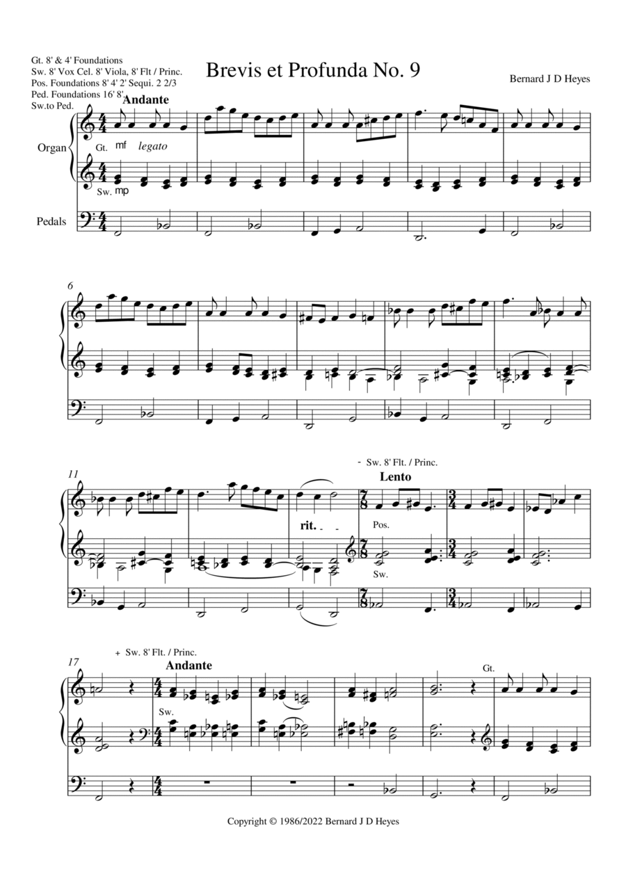 Brevis et Profunda No. 9 Organ Solo scores gallery preview page 1