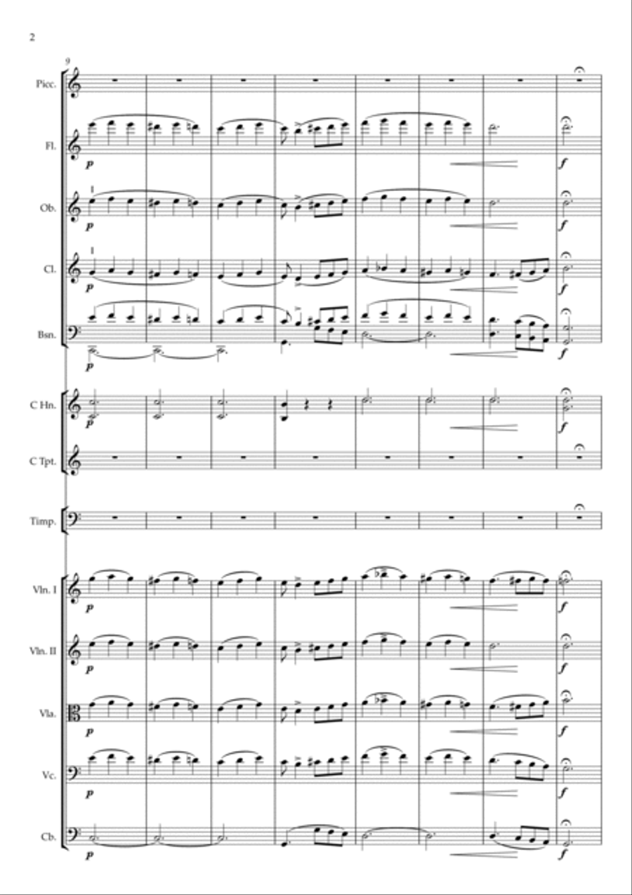 Overture to the vaudeville 'Young Mother and the 48 Year Old Fiance' Full Orchestra scores gallery preview page 2