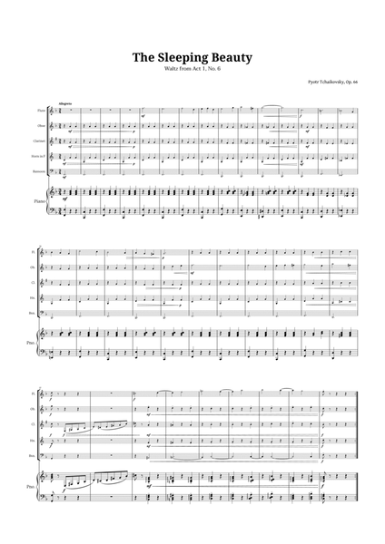 The Sleeping Beauty Waltz for Woodwind Quintet and Piano image number null