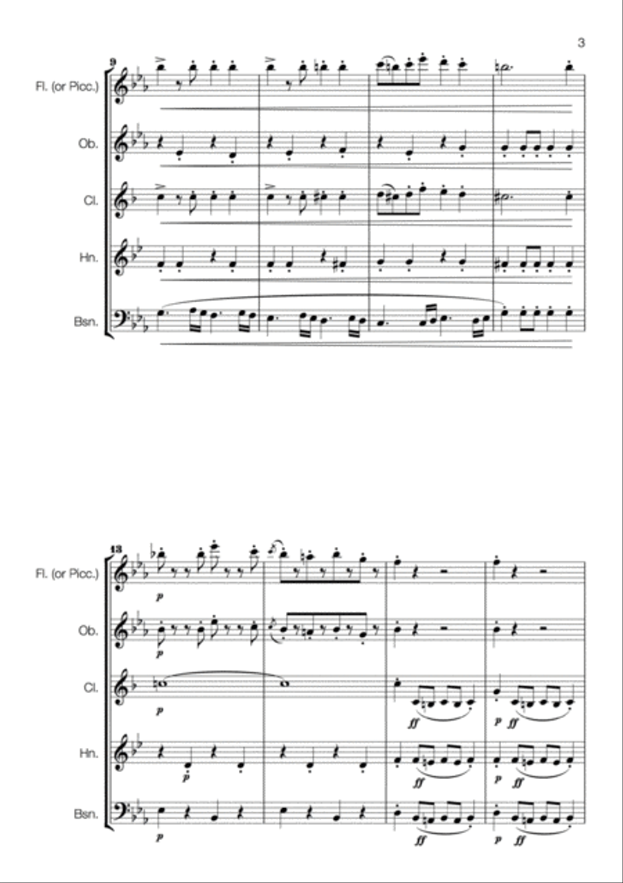 Sousa - The Stars and Stripes Forever for Wind Quintet Woodwind Quintet scores gallery preview page 3