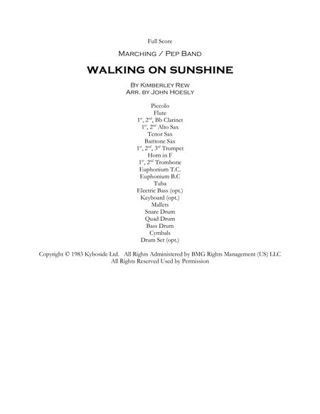 Walking On Sunshine image number null