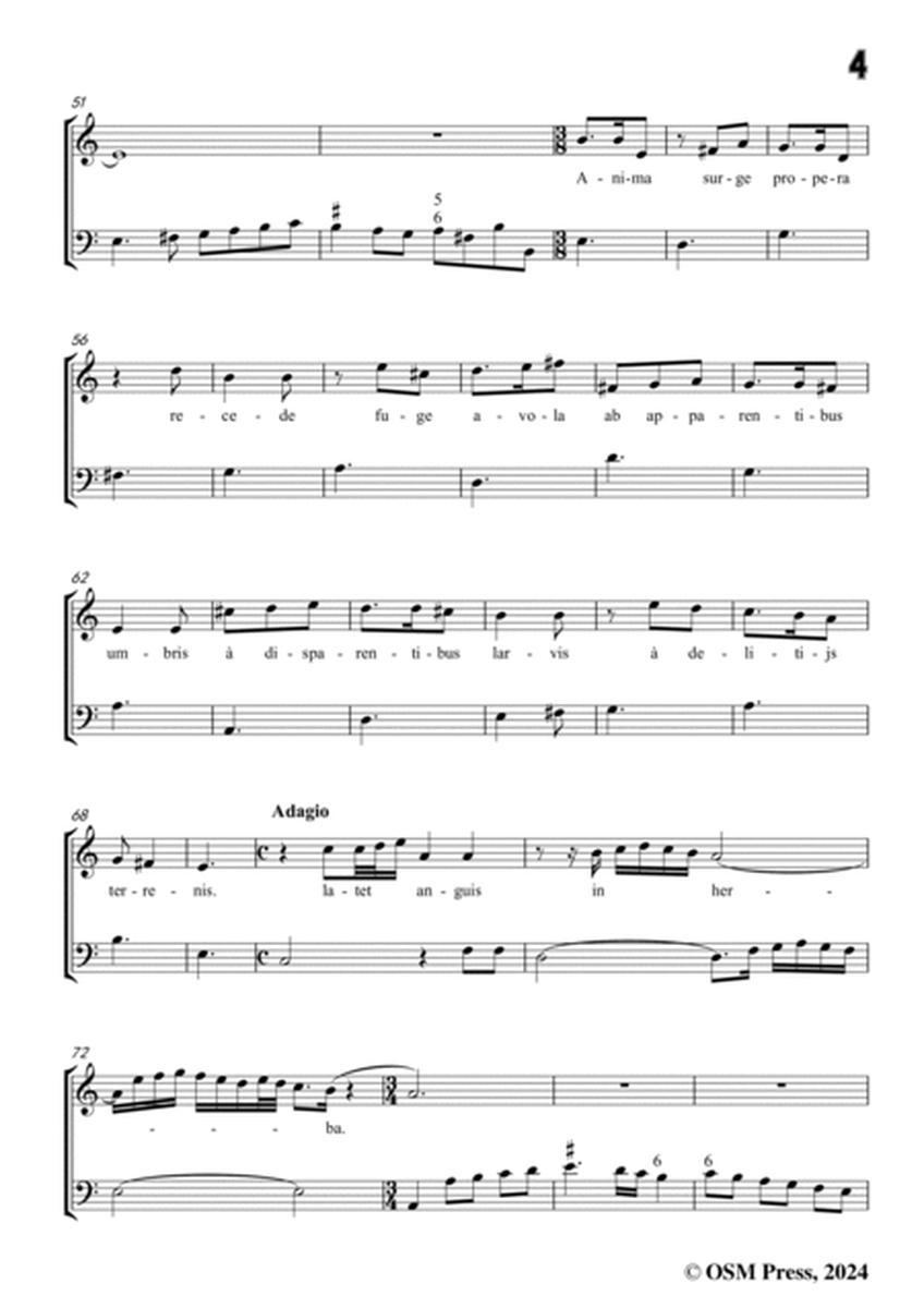 Legrenzi-Anima mea cur detineris,Op.10 No.4,in E Major