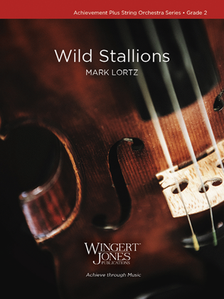 Book cover for Wild Stallions