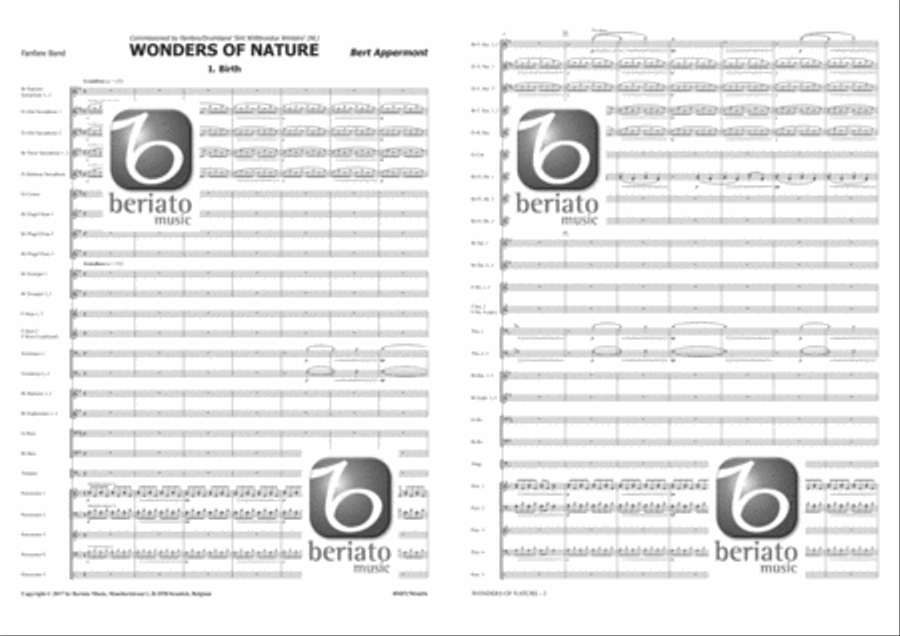 Wonders of Nature Fanfare Band scores gallery preview page 2