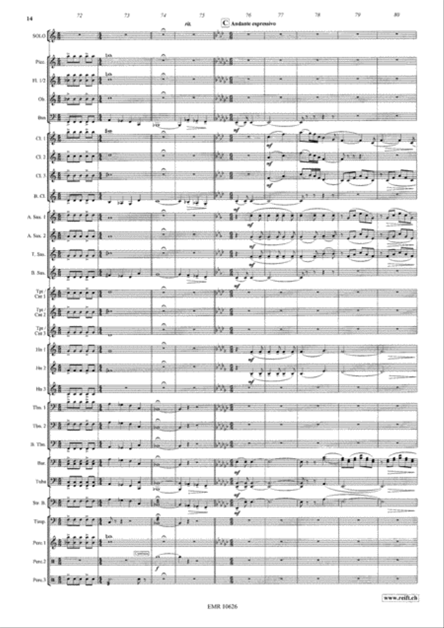 Saltatio Diabolica Concert Band scores gallery preview page 15