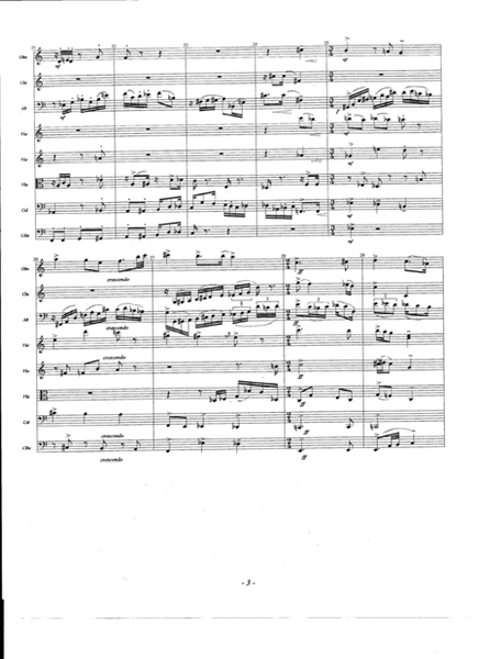 Capriccio Borgogna, for bassoon (or alto clarinet, basset horn) & chamber orchestra (SCORE) image number null
