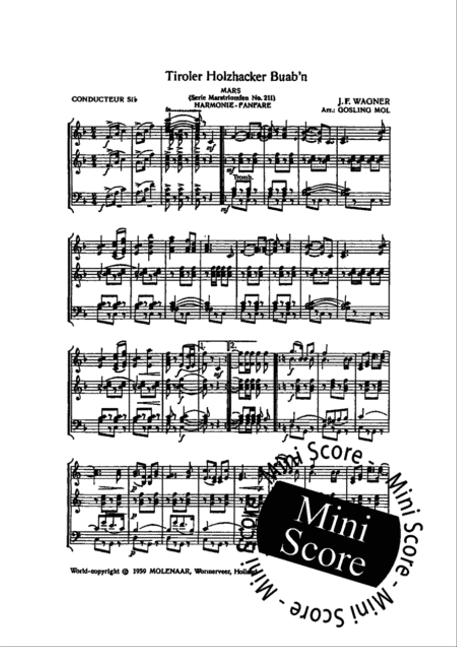 Tiroler Holzhacker Buab'n Fanfare Band scores gallery preview page 4
