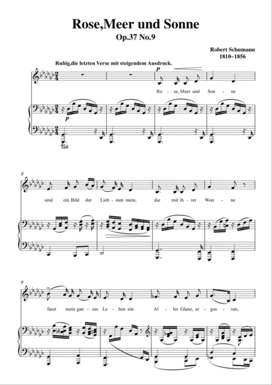Schumann-Rose,Meer und Sonne in G♭ Major for Voice and Piano Voice Solo scores gallery preview page 2