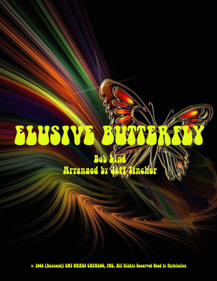 Book cover for Elusive Butterfly