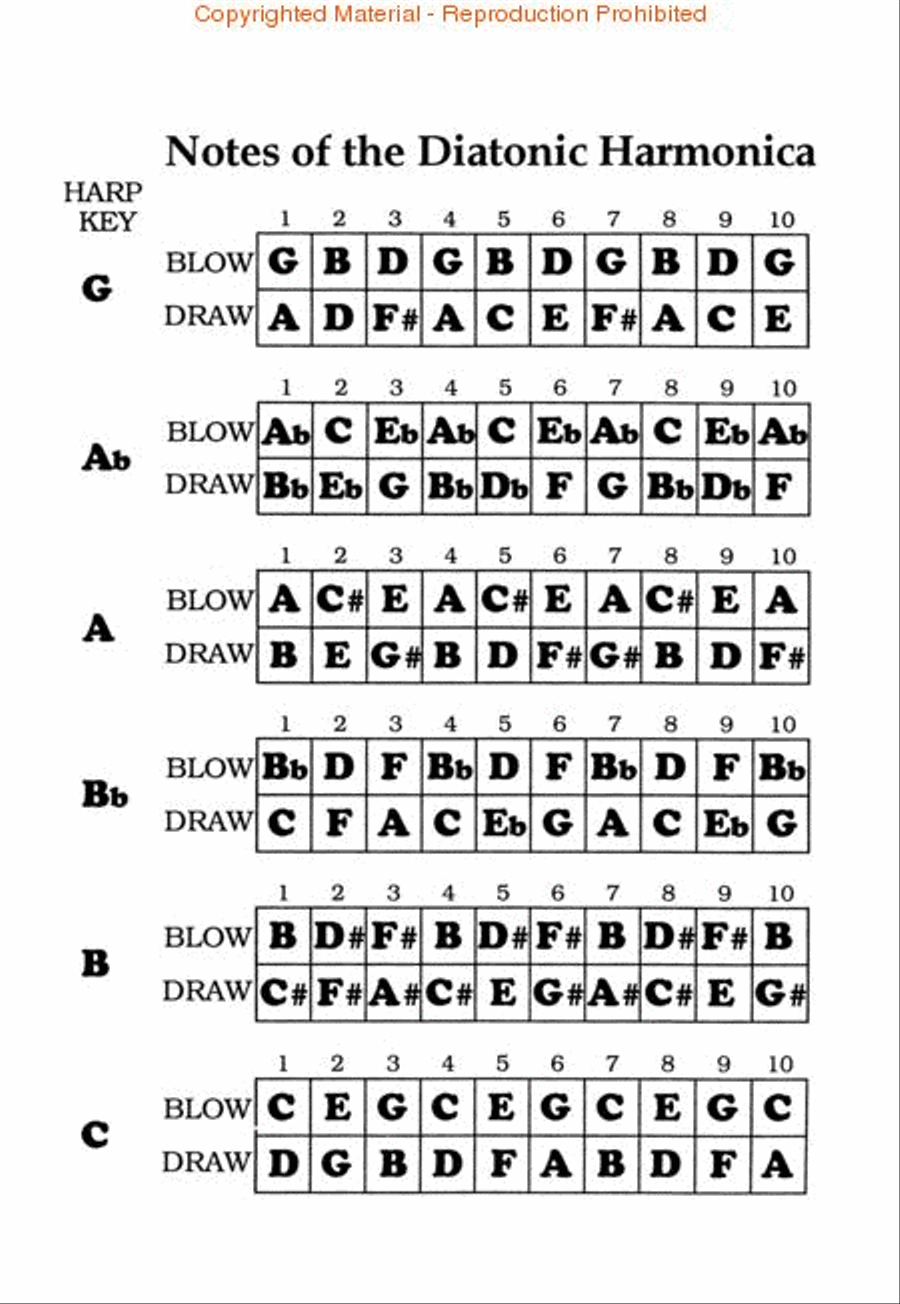 Sourcebook of Little Walter/Big Walter Licks for Blues Harmonica Harmonica scores gallery preview page 2