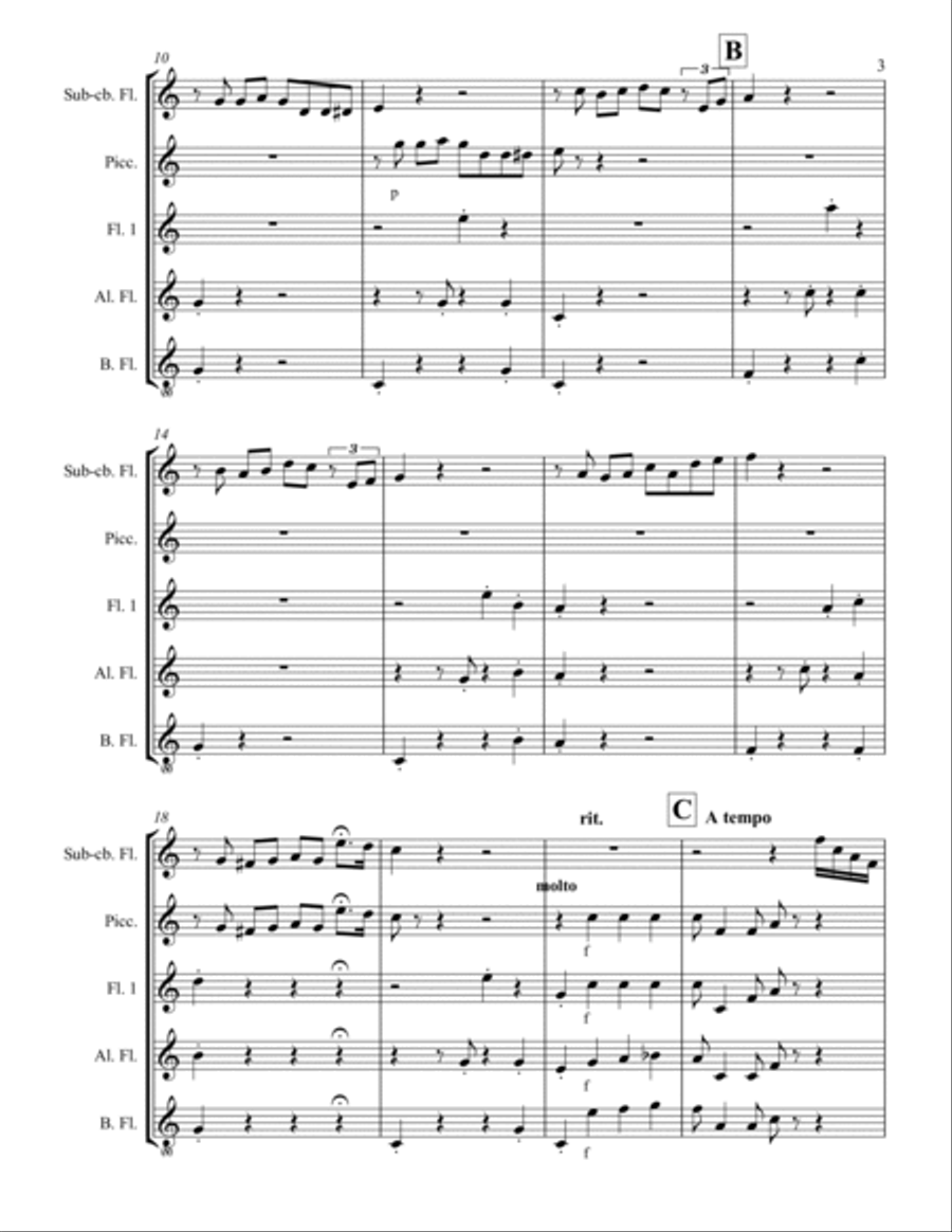Concerto for Low Flute Concerto for Low Flute Flute Solo scores gallery preview page 3