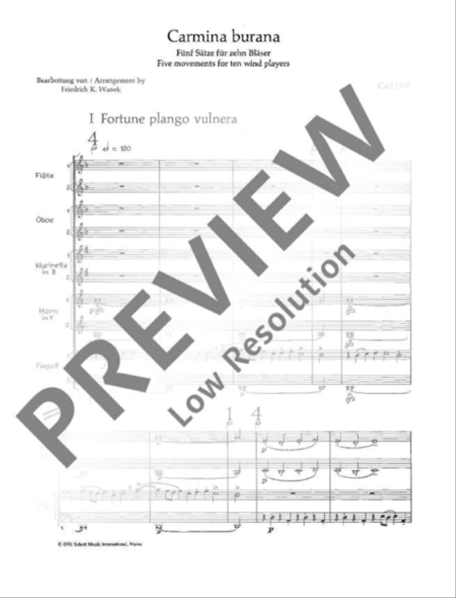 Carmina Burana English Horn scores gallery preview page 6