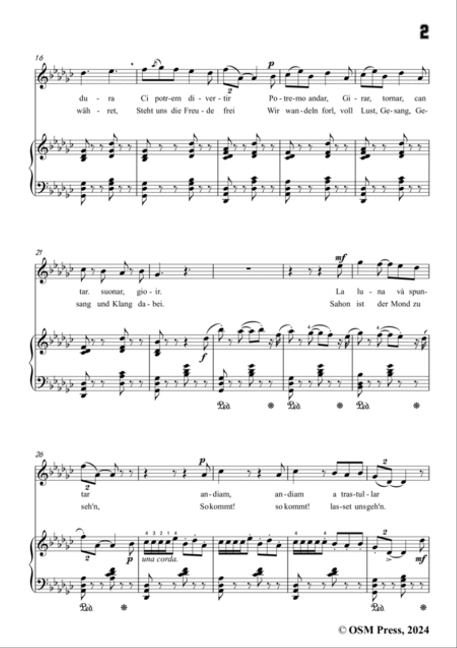 Paladilhe-Mandolinata( Souvenir de Rome),in G flat Major Voice scores gallery preview page 3