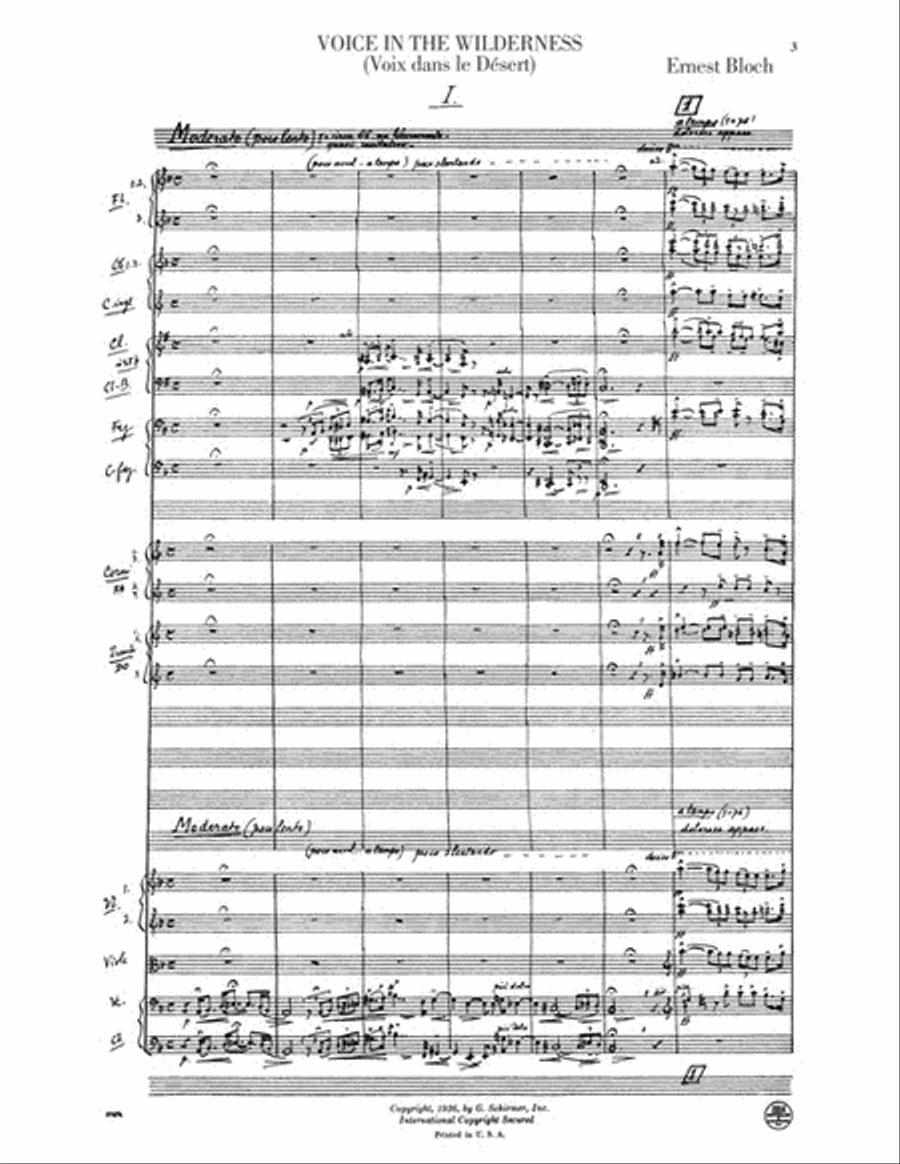 Voice in the Wilderness (Symphonic Poem)