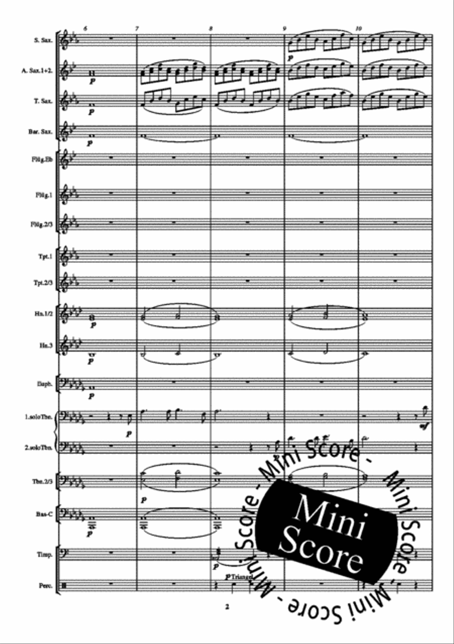 Duet uit de Parelvissers Fanfare Band scores gallery preview page 6