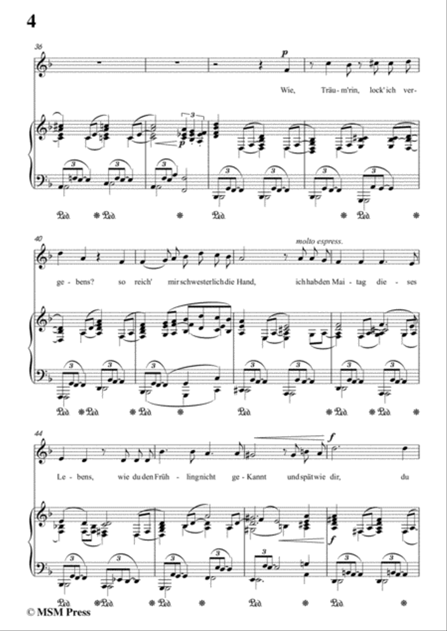 Richard Strauss-Die Georgine in d minor,for Voice and Piano Voice Solo scores gallery preview page 6