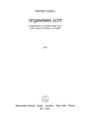 Ungewisses Licht (2014)