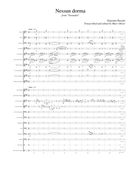 Nessun Dorma (Horn Quartet with Comcert Band) image number null
