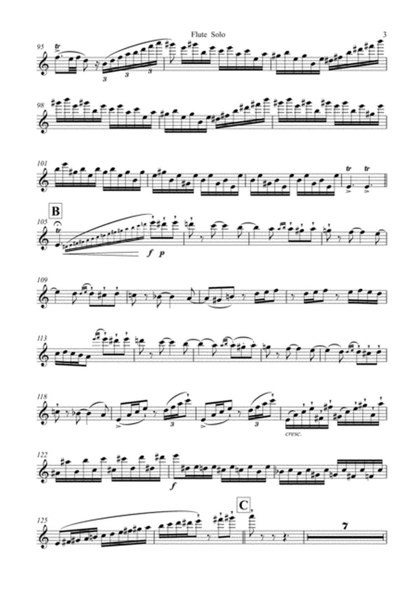 Introduction and Rondo Capriccioso, for Flute Solo