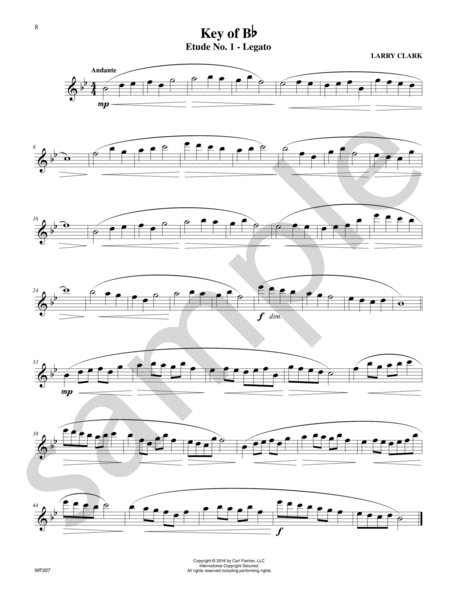 Six Steps to Success for Flute