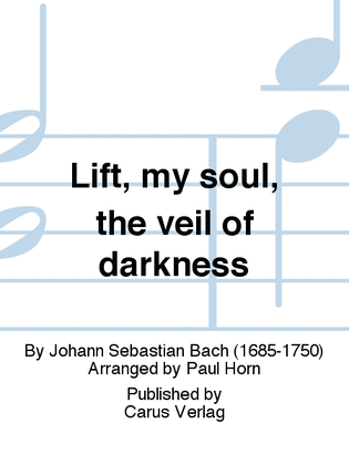 Book cover for Lift, my soul, the veil of darkness