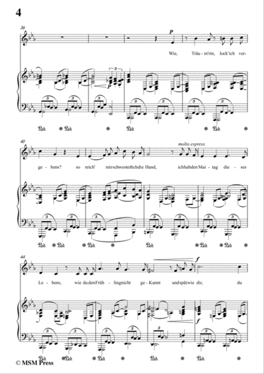 Richard Strauss-Die Georgine in c minor,for Voice and Piano Voice Solo scores gallery preview page 6