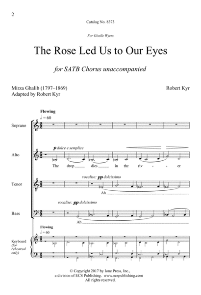 The Rose Led Us to Our Eyes (Downloadable)