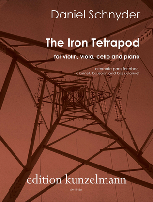 Book cover for The iron tetrapod
