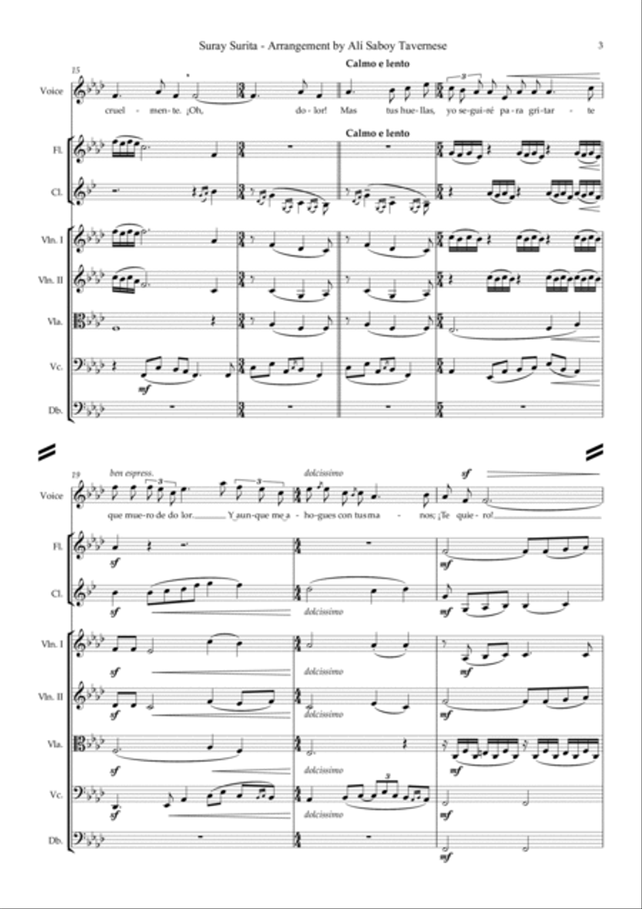 Suray Surita Small Ensemble scores gallery preview page 6
