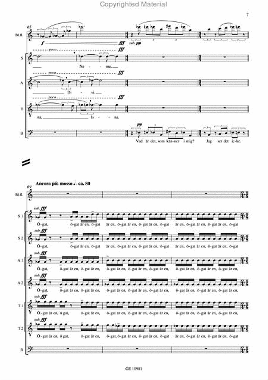 Nemesis divina - svenska/swedish SSAATTBB scores gallery preview page 6