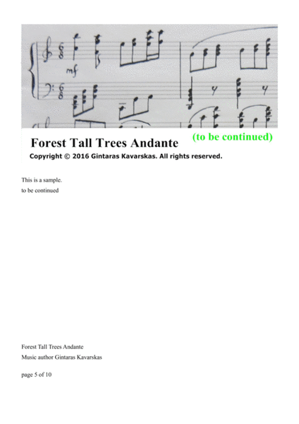 Forest Tall Trees Andante