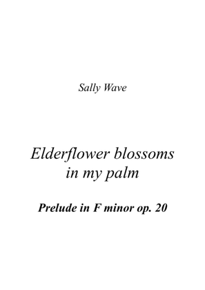 Elderflower blossoms in my palm