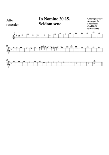 In Nomine no.20 a5 (arrangement for 5 recorders)
