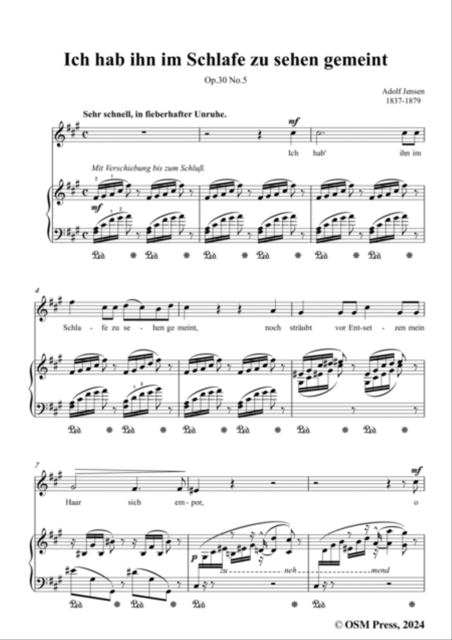A. Jensen-Ich hab ihn im Schlafe zu sehen gemeint,Op.30 No.5,in f sharp minor Voice scores gallery preview page 3