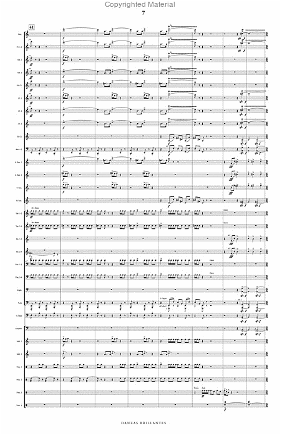 Danzas Brillantes Danzas Brillantes Concert Band scores gallery preview page 8
