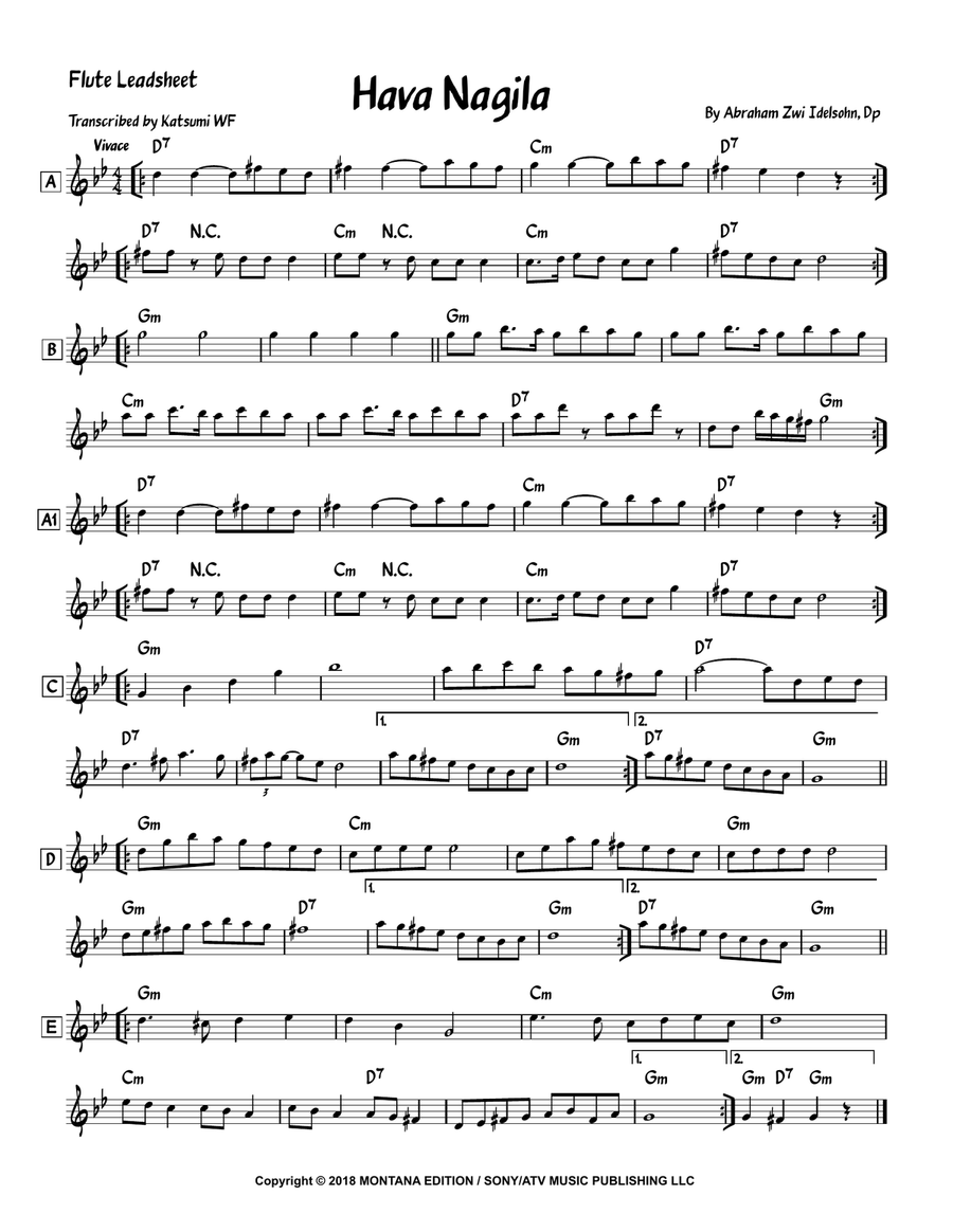 Hava Nagila Flute Solo scores gallery preview page 1