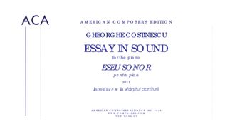 Book cover for [Costinescu] Essay in Sound