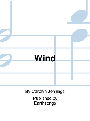 Book cover for wind