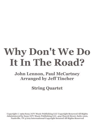 Book cover for Why Don't We Do It In The Road