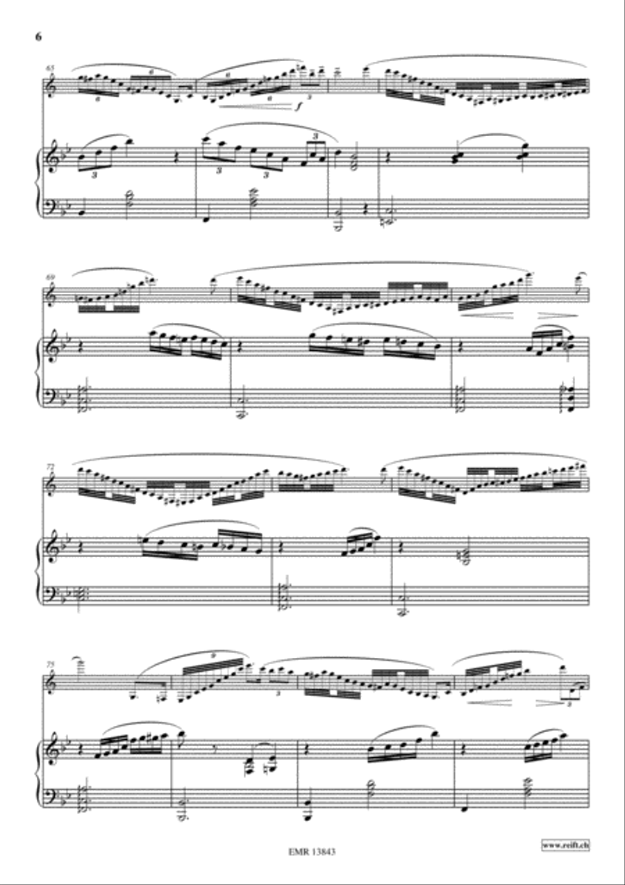 Variations On The Tyrolienne Clarinet Solo scores gallery preview page 6