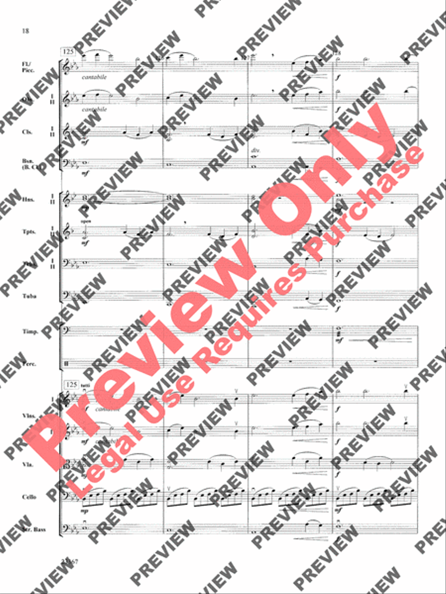 Overture to the Wasps Full Orchestra scores gallery preview page 18