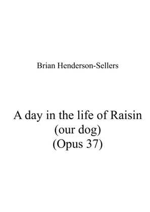A Day in the Life of Raisin (Our dog)
