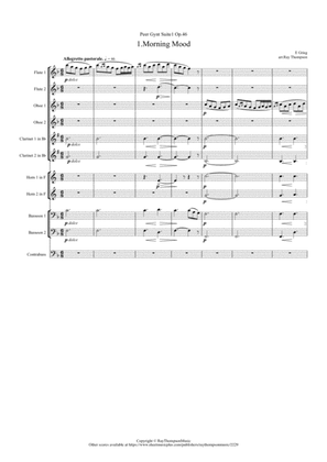 Book cover for Grieg: Peer Gynt Suite No.1 Op.46 Mvt.1 Morning Mood (Transposed Key) - symphonic wind ensemble