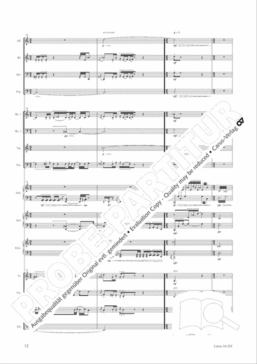 Esquisse: le froid Esquisse: le froid Orchestra scores gallery preview page 13