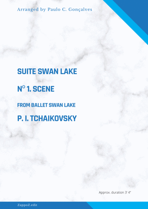 SUITE SWAN LAKE Nº 1. Scene