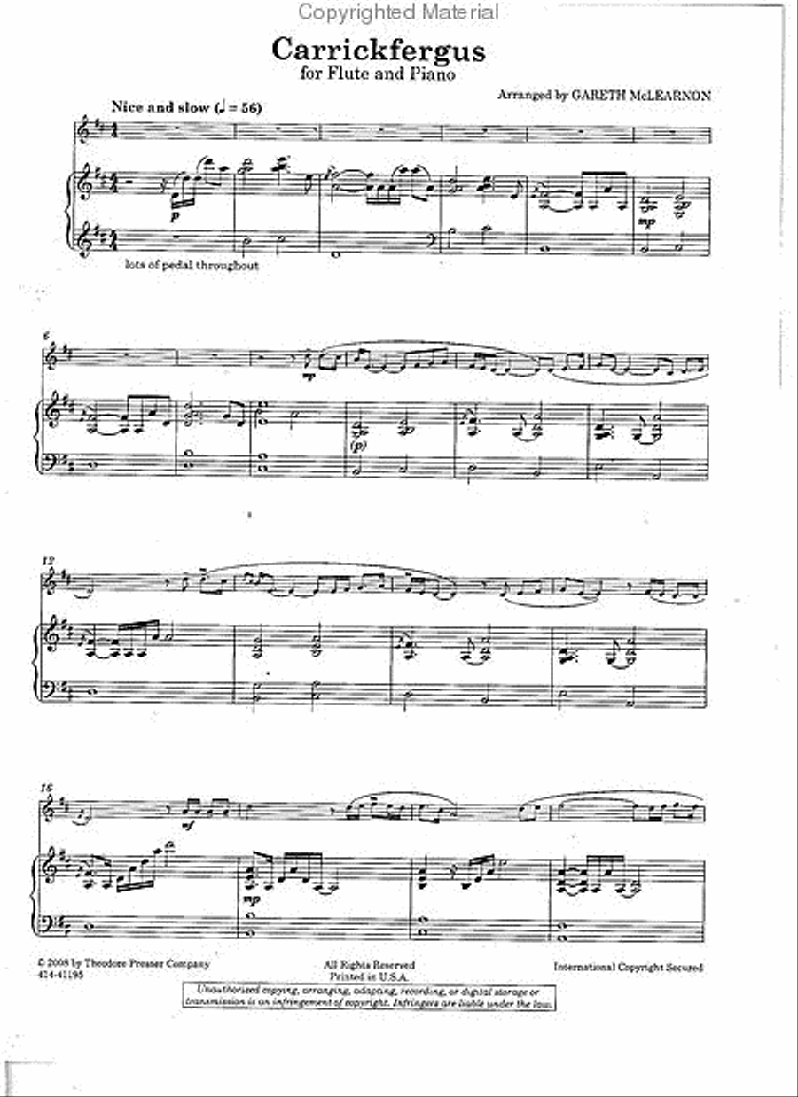 Round Ireland with a Flute: Favorite Irish Songs for Flute and Piano Chamber Music scores gallery preview page 2