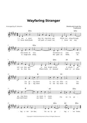 Book cover for Wayfaring Stranger (Key of D-Sharp Minor)