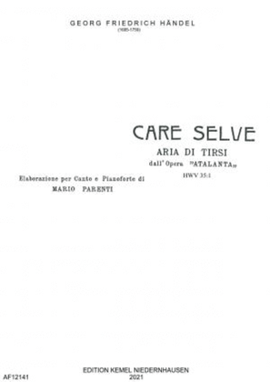 Book cover for Care selve